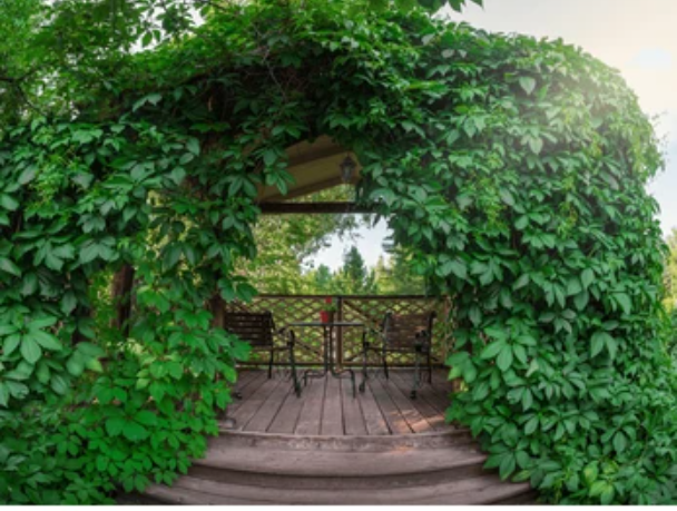 Build Your Dream Wooden Gazebo: Easy Installation Tips for Orlando Backyards