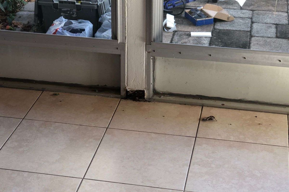 WhatsApp Image 2023-03-23 at 11.59.55 AM