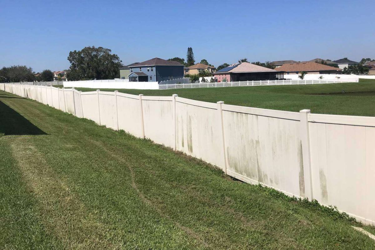 WhatsApp Image 2025-07-10 at 4.02.46 AM (1)