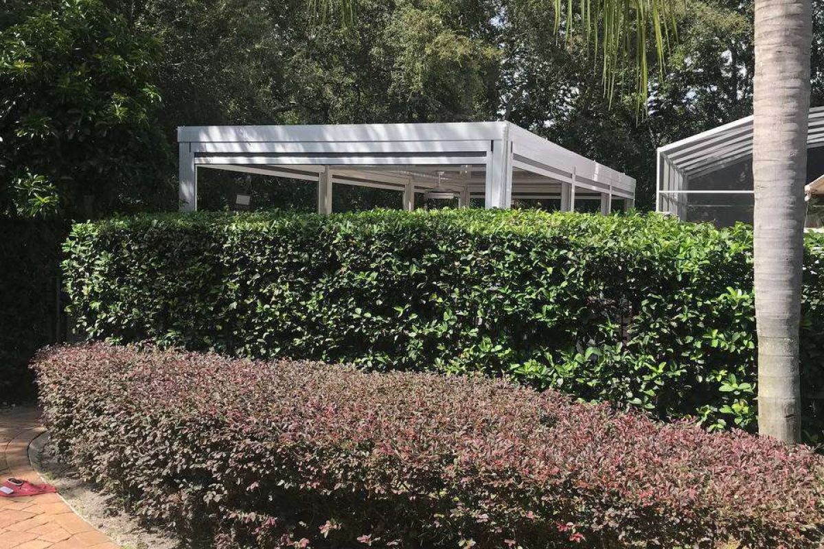 photo_2024-12-18_08-25-45