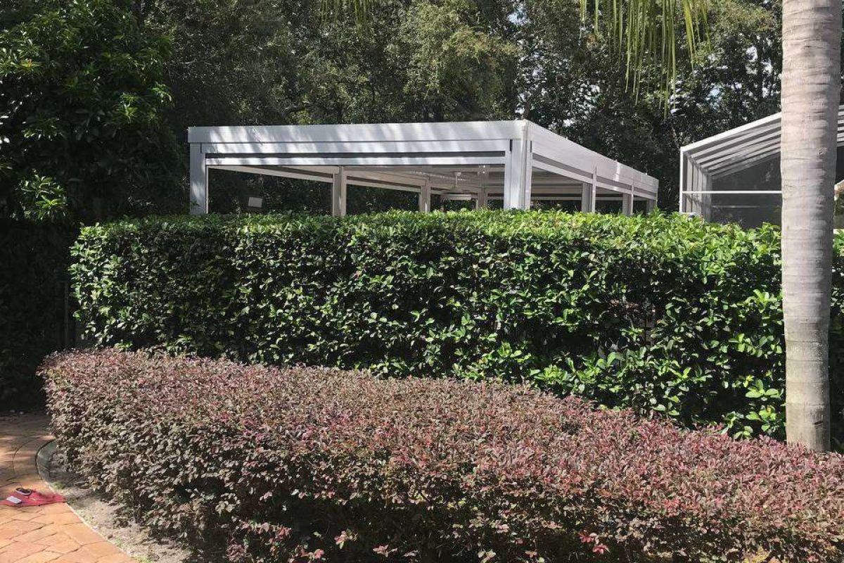 photo_2024-12-18_08-25-49