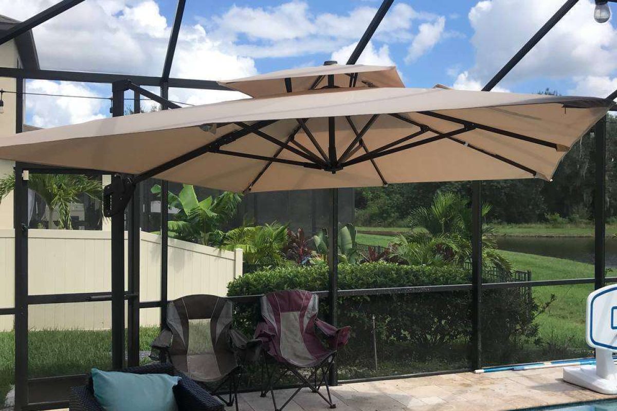 photo_2024-12-18_08-26-19