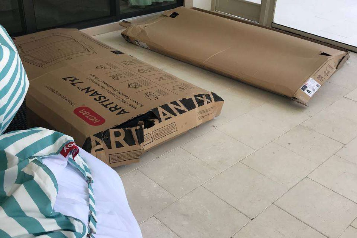 photo_2024-12-18_08-30-33