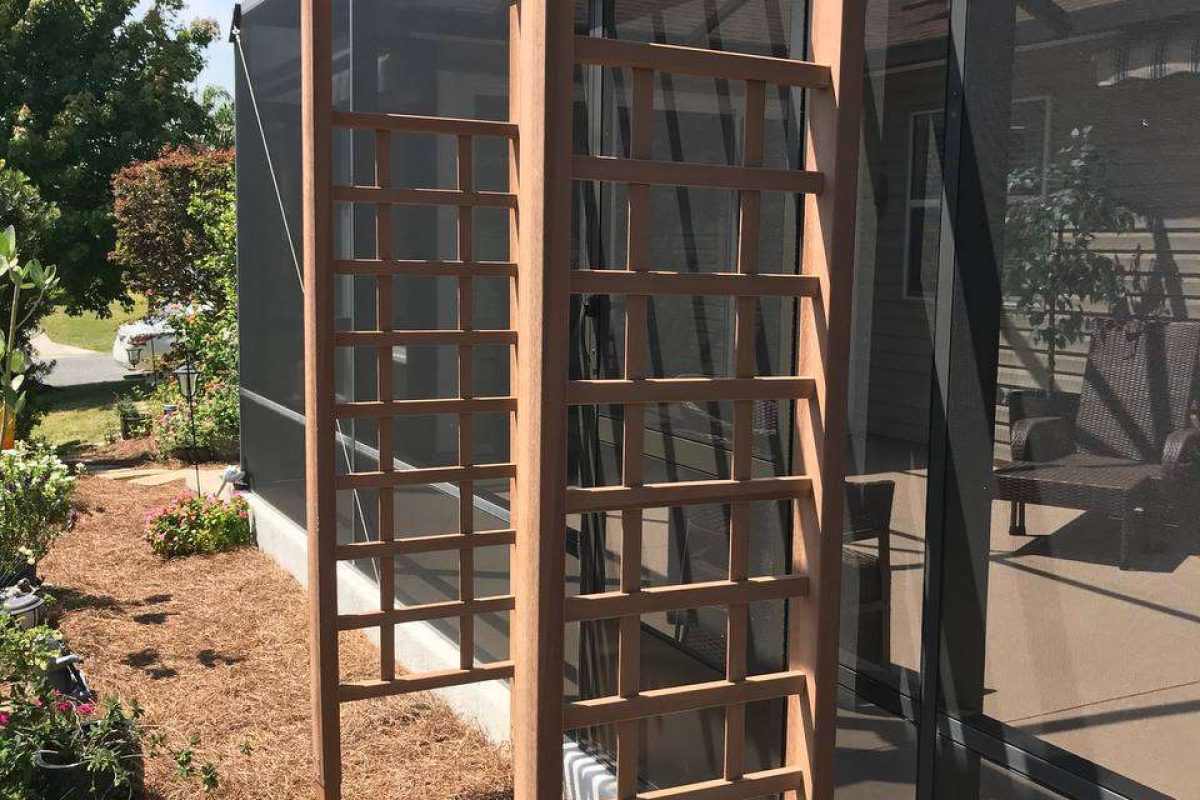 photo_2024-12-18_08-33-25