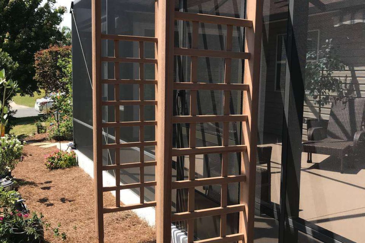 photo_2024-12-18_08-33-28