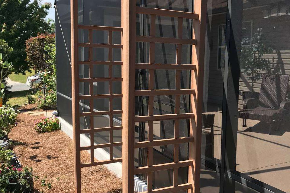 photo_2024-12-18_08-33-31