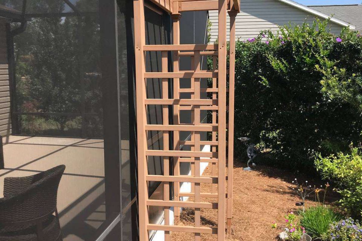 photo_2024-12-18_08-33-36