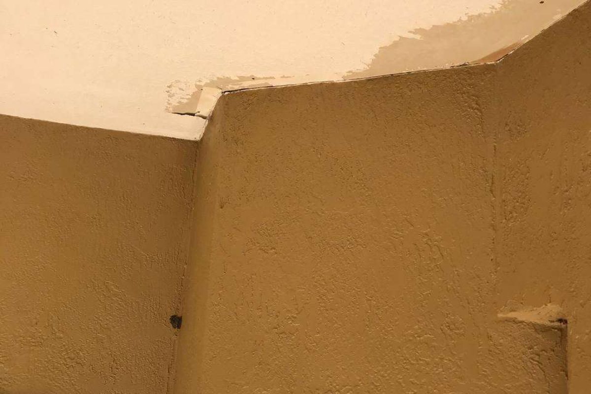 photo_2024-12-23_19-57-54