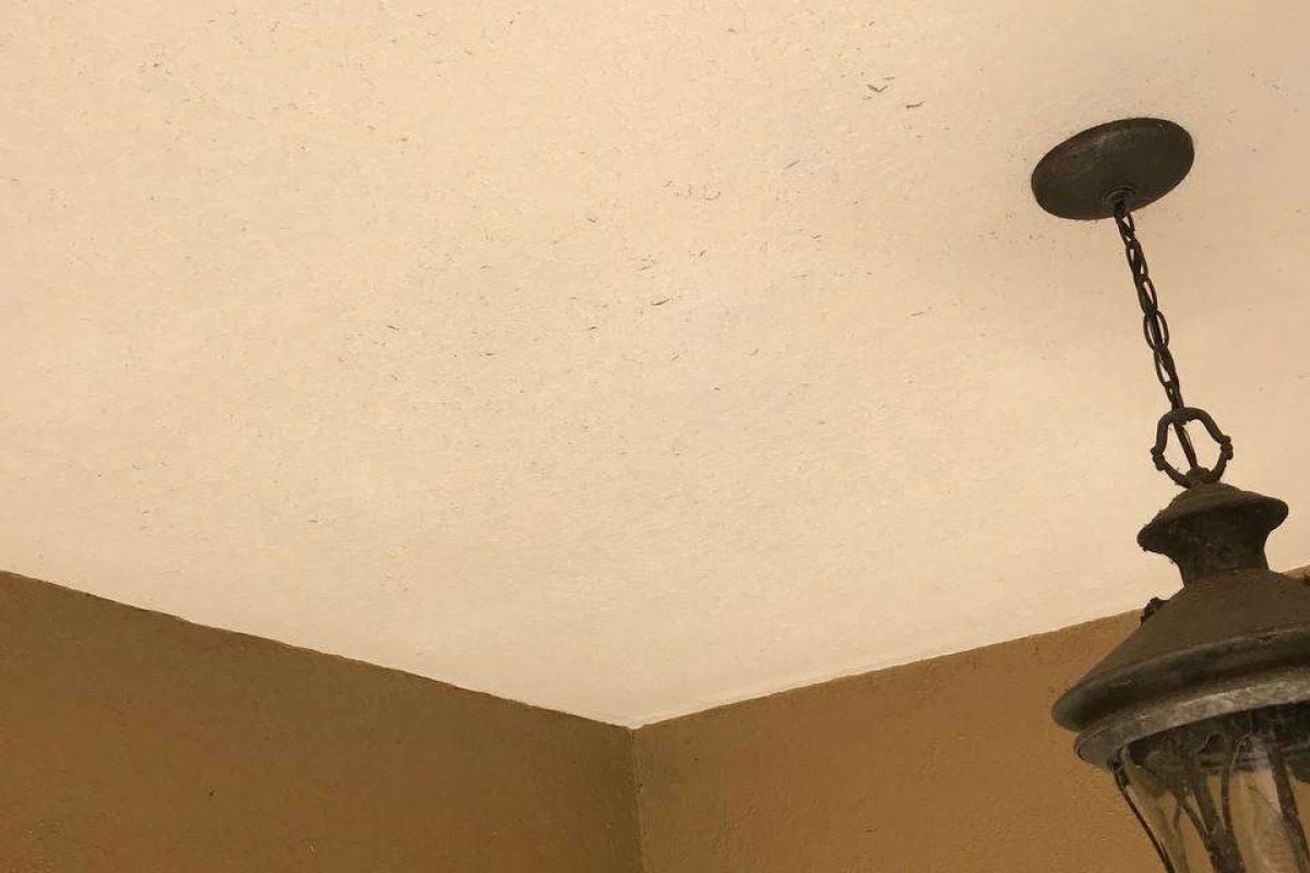 photo_2024-12-23_19-57-57