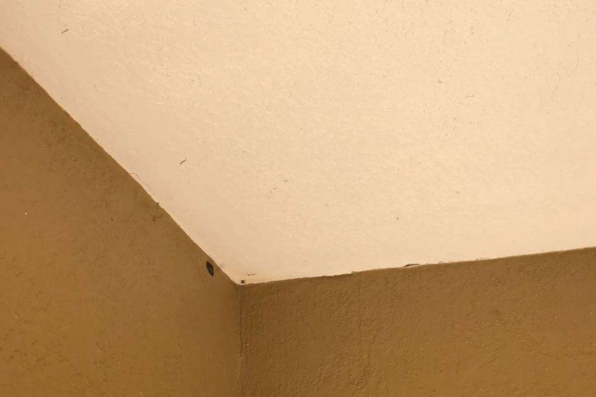 photo_2024-12-23_19-58-01