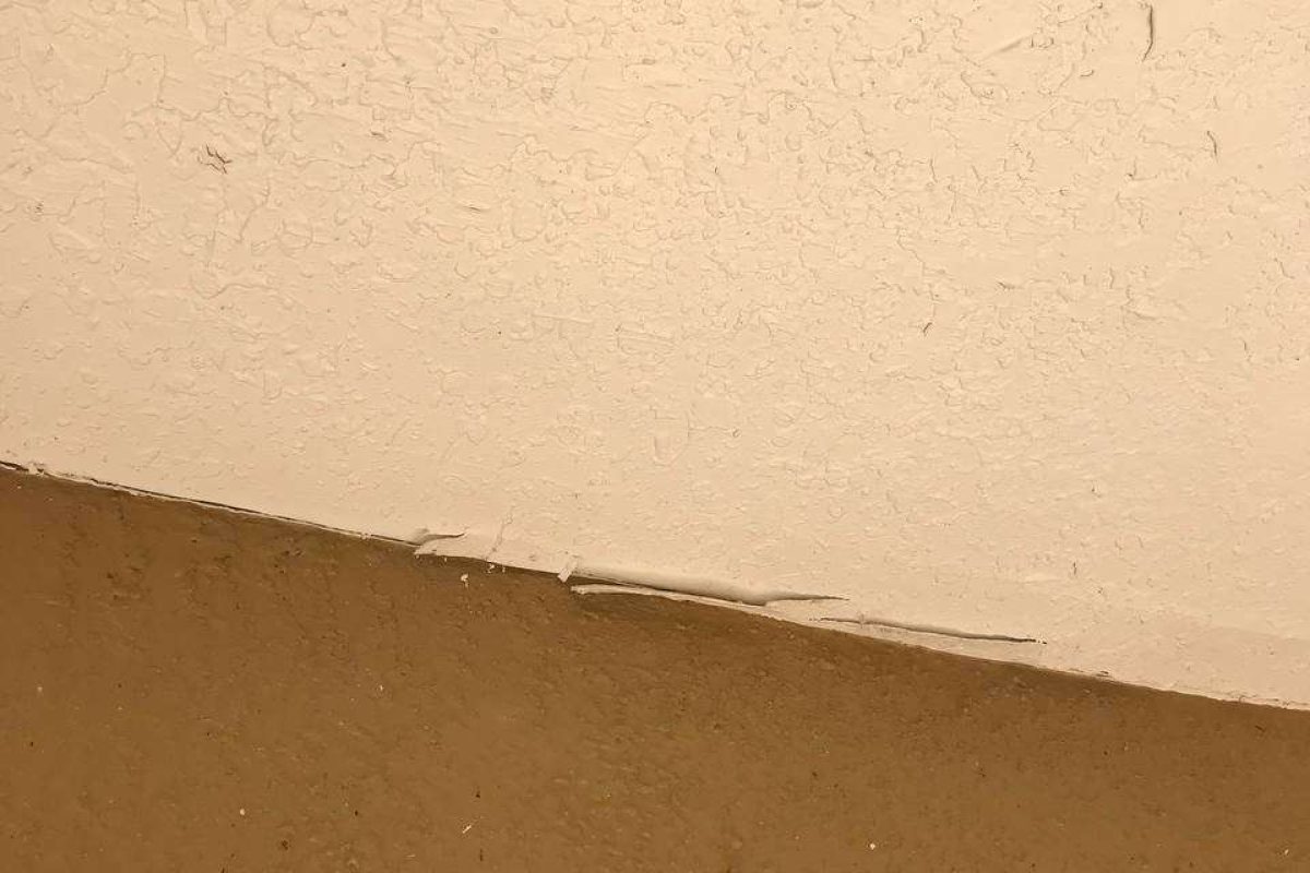 photo_2024-12-23_19-58-04