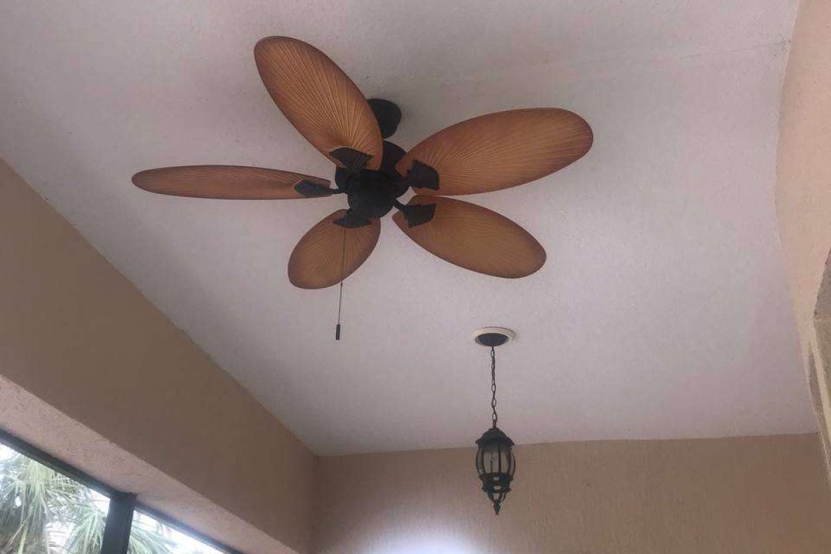 photo_2024-12-23_19-58-07