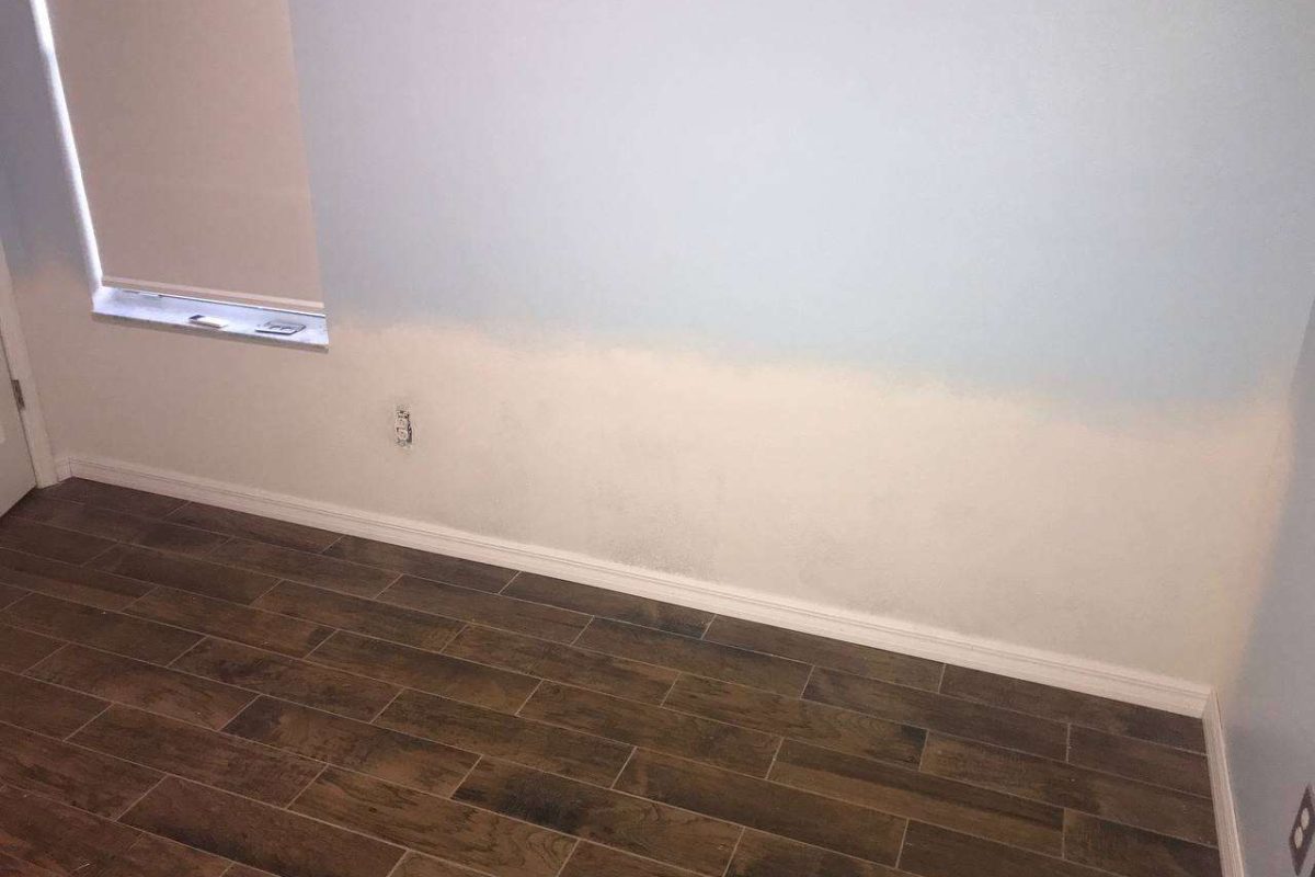 photo_2024-12-23_20-02-13