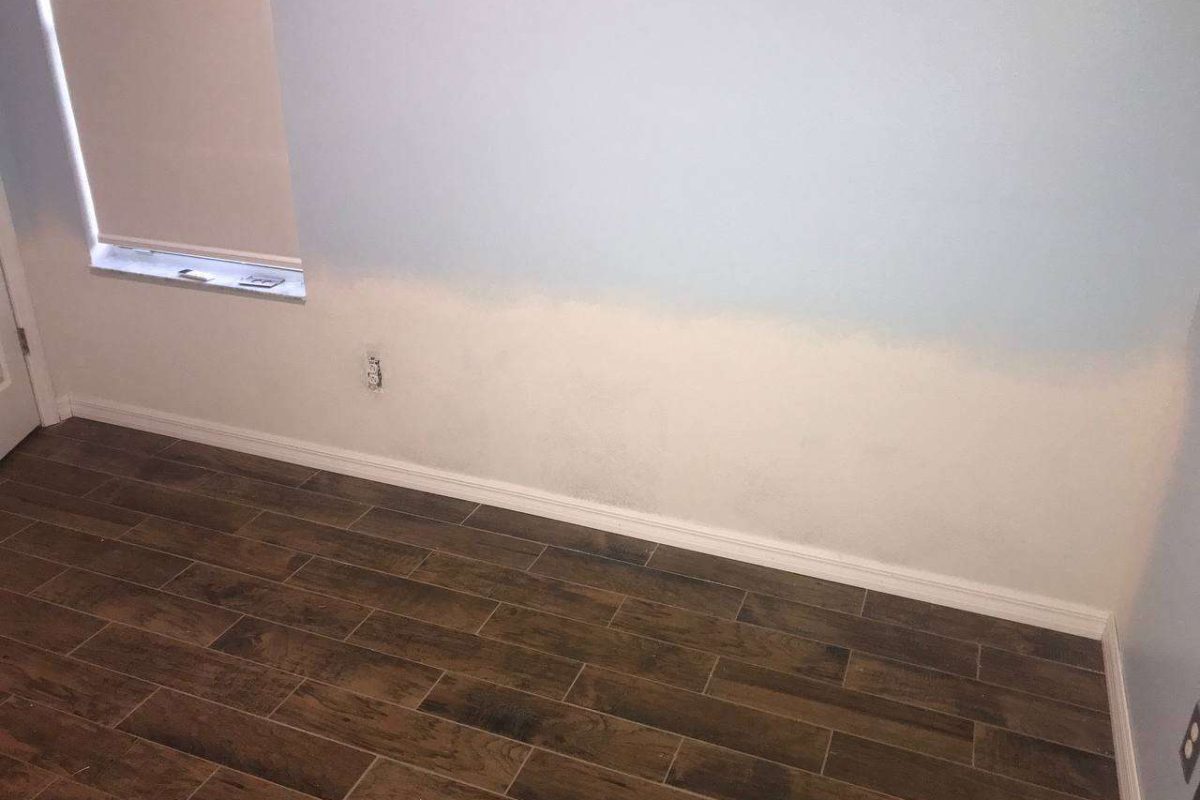 photo_2024-12-23_20-02-17