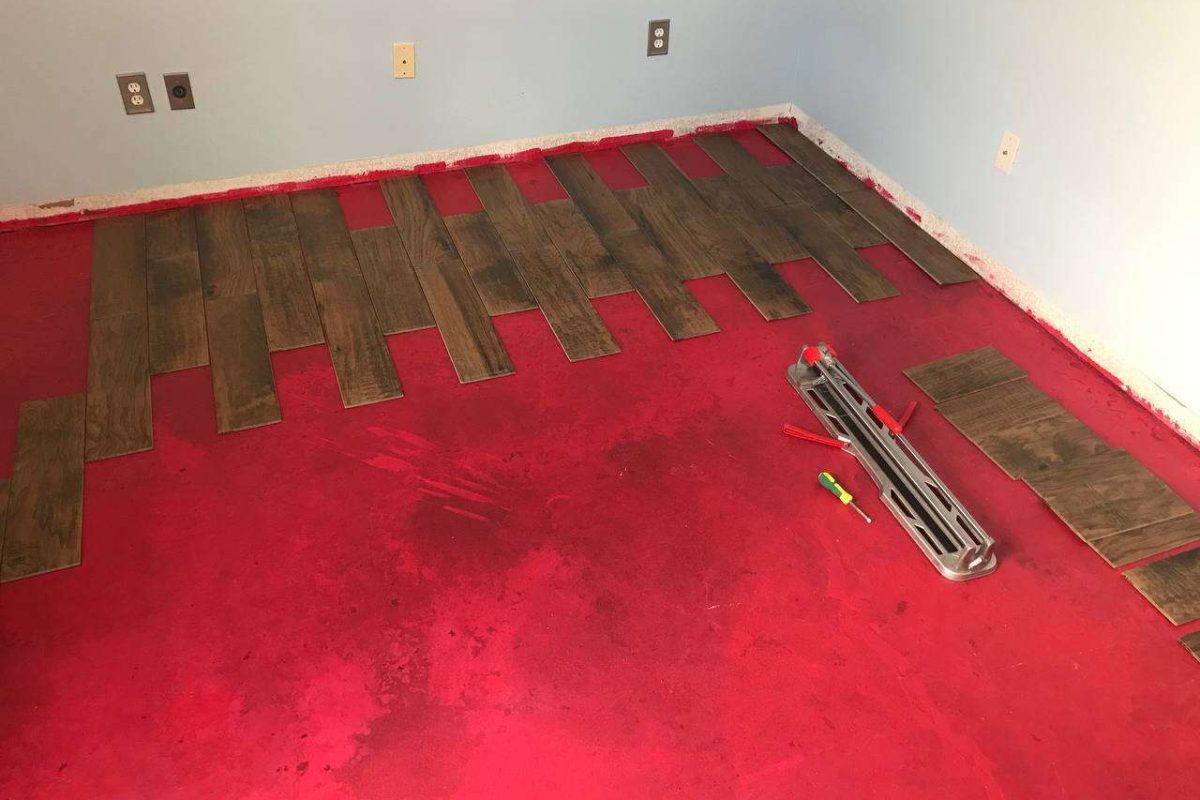 photo_2024-12-23_20-03-21