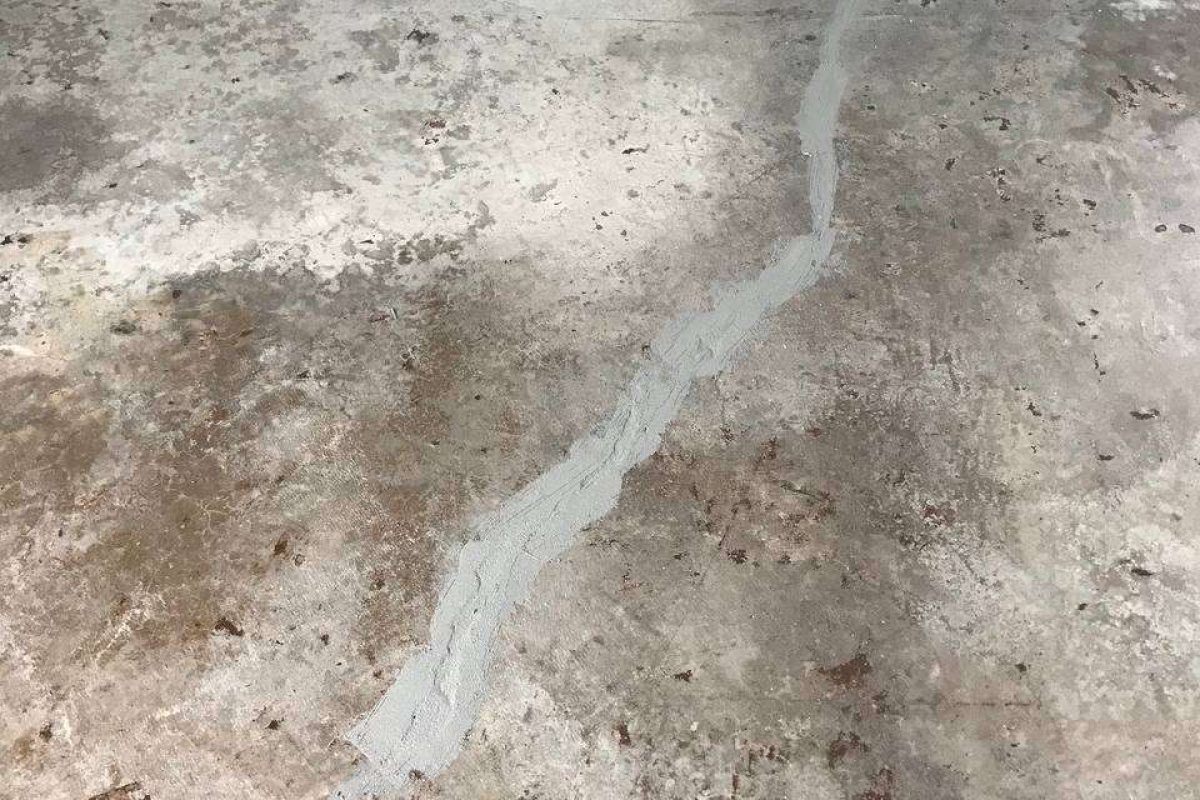 photo_2024-12-23_20-03-40