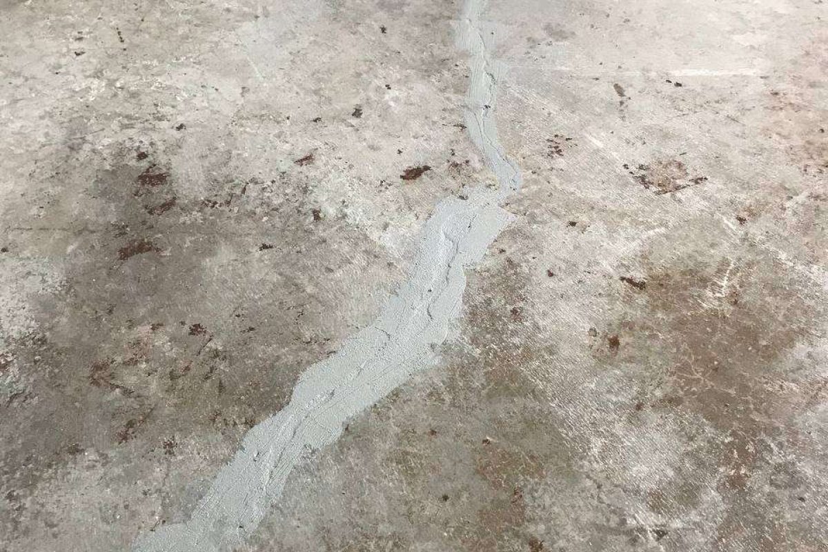 photo_2024-12-23_20-03-47