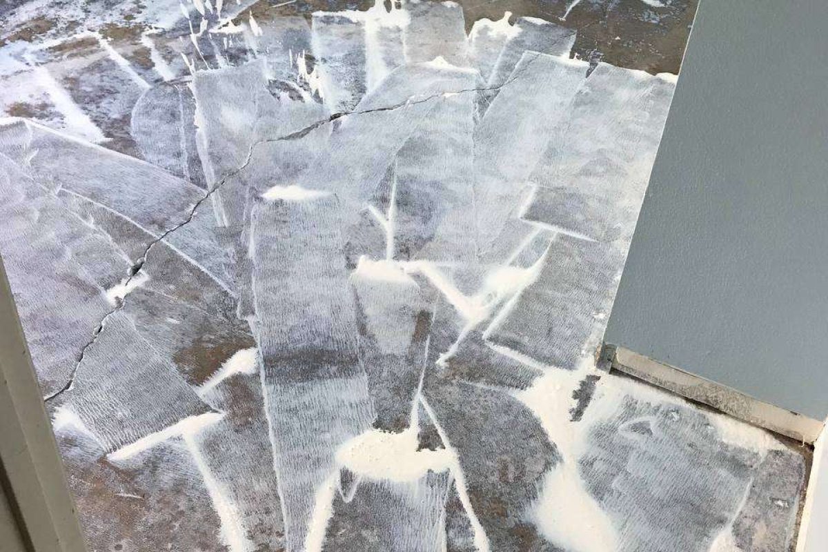 photo_2024-12-23_20-03-54