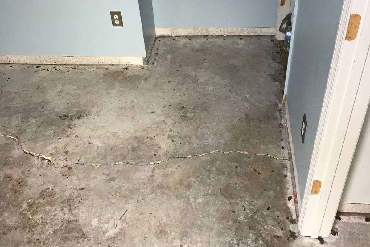 photo_2024-12-23_20-03-57