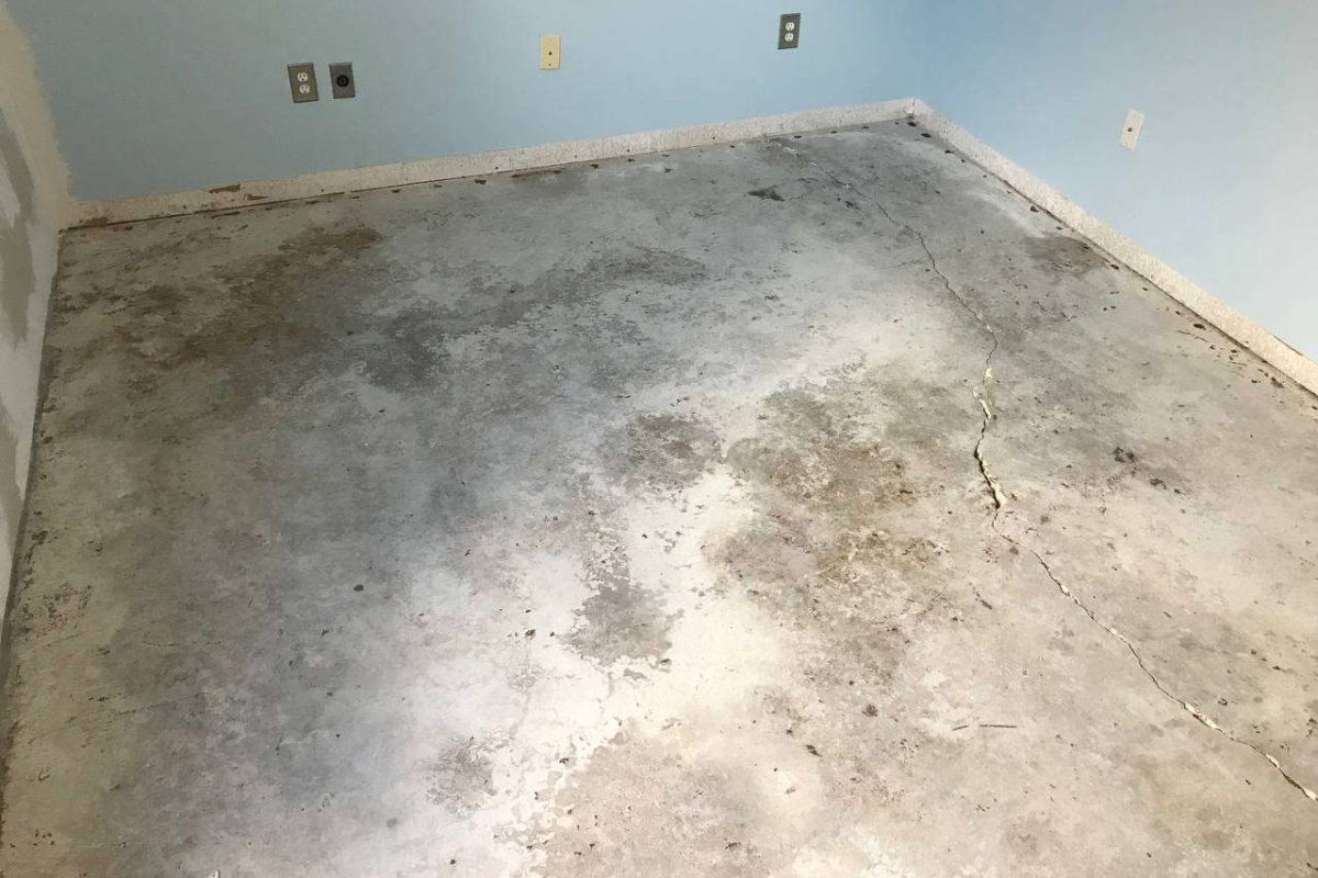 photo_2024-12-23_20-04-00