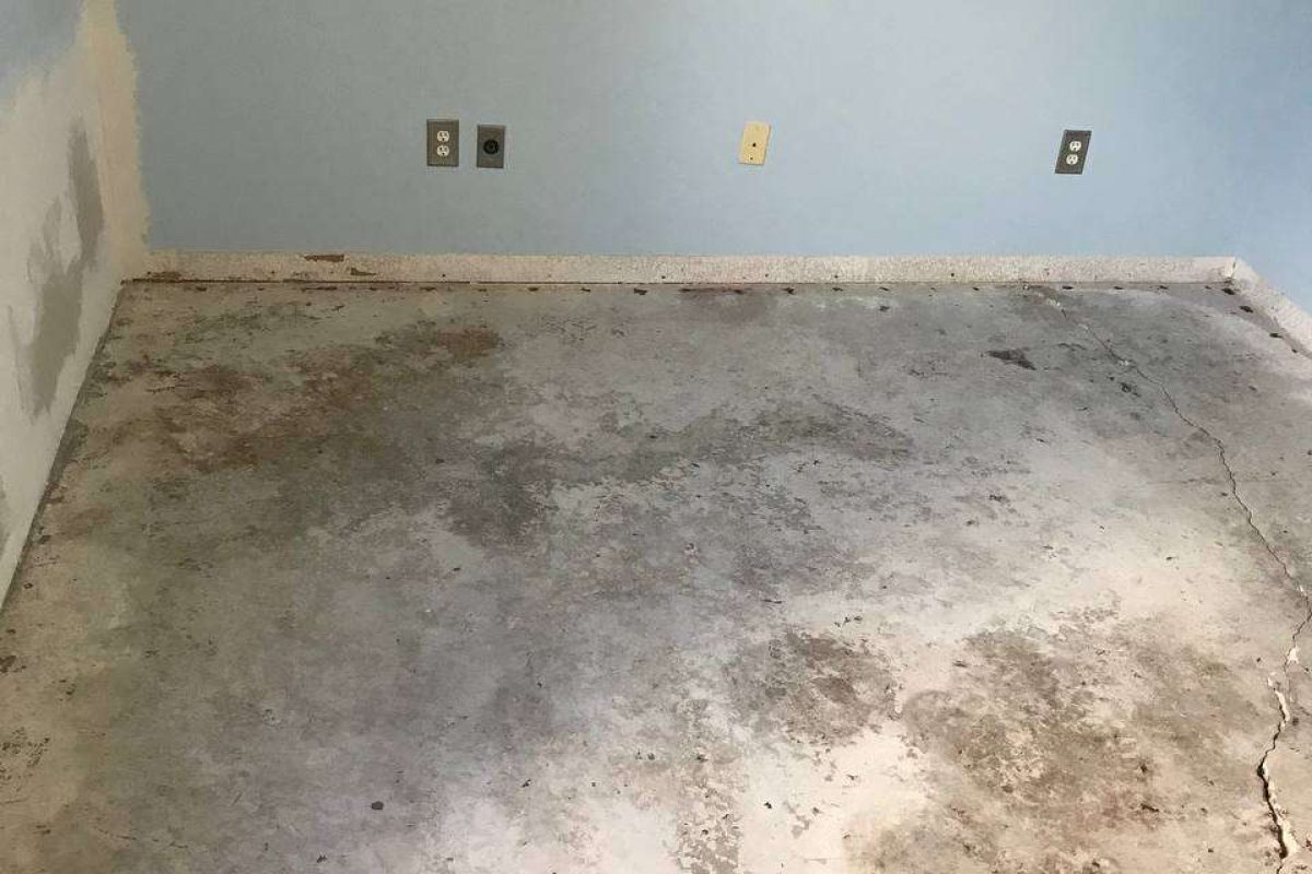 photo_2024-12-23_20-04-04