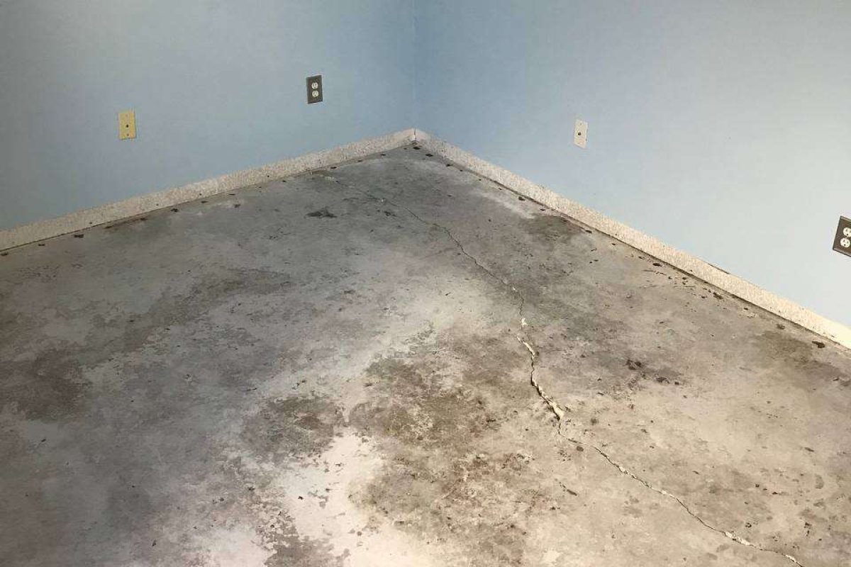 photo_2024-12-23_20-04-07