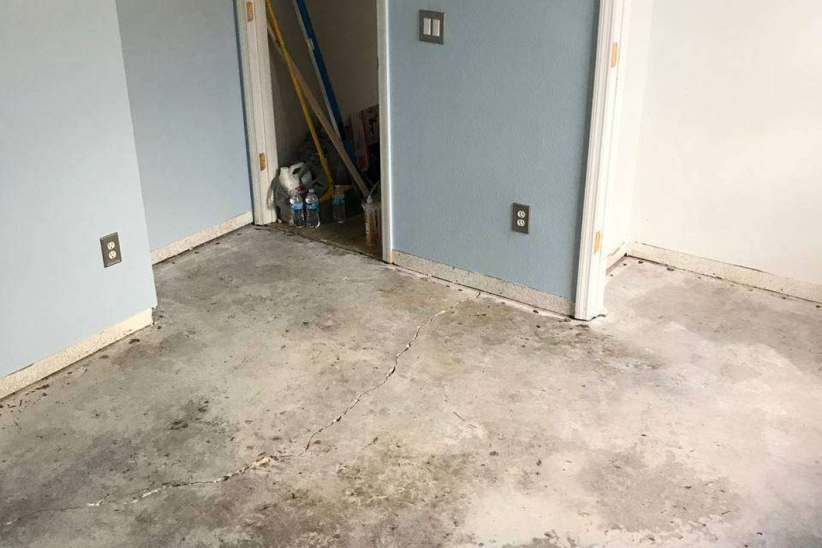 photo_2024-12-23_20-04-15