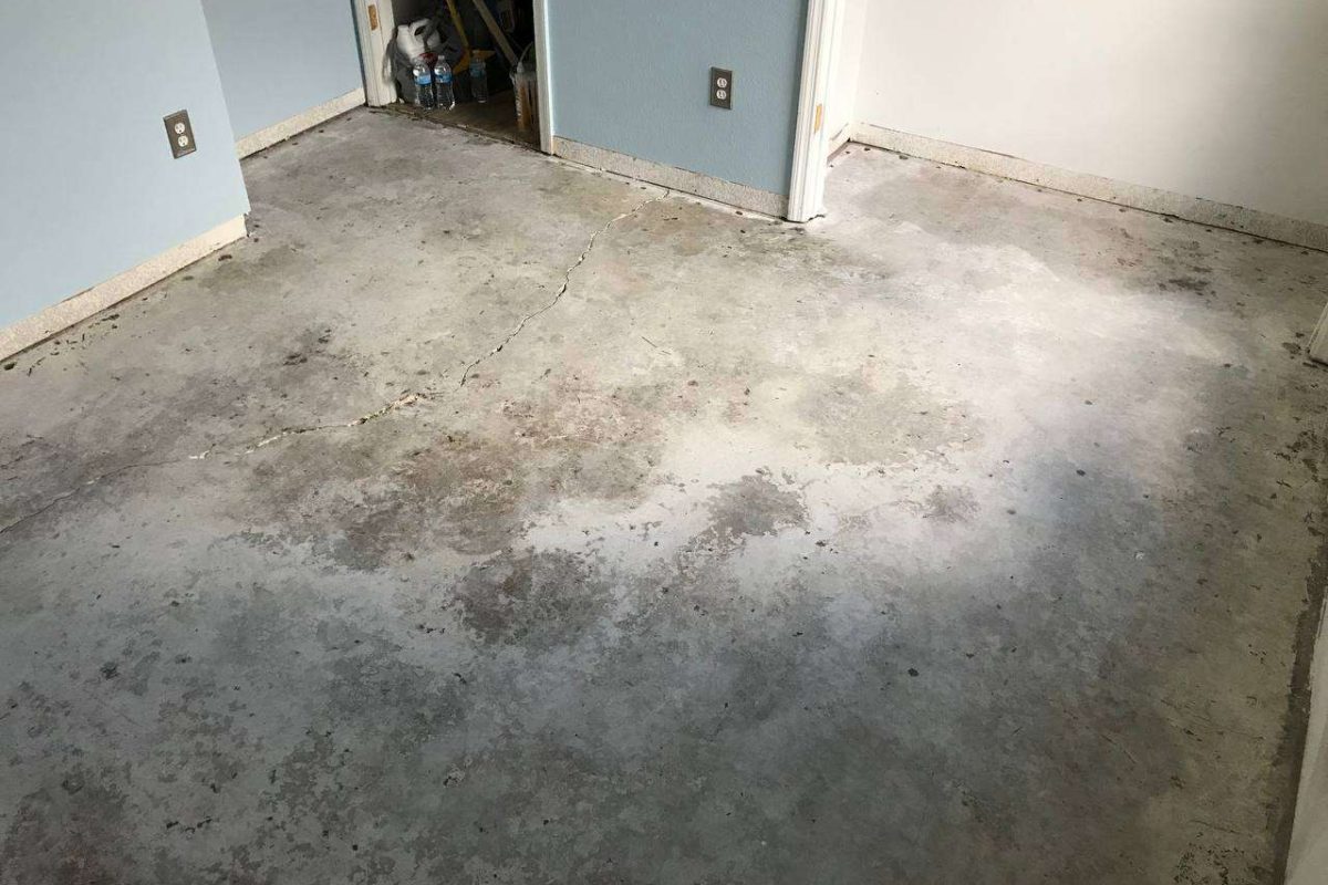 photo_2024-12-23_20-04-24