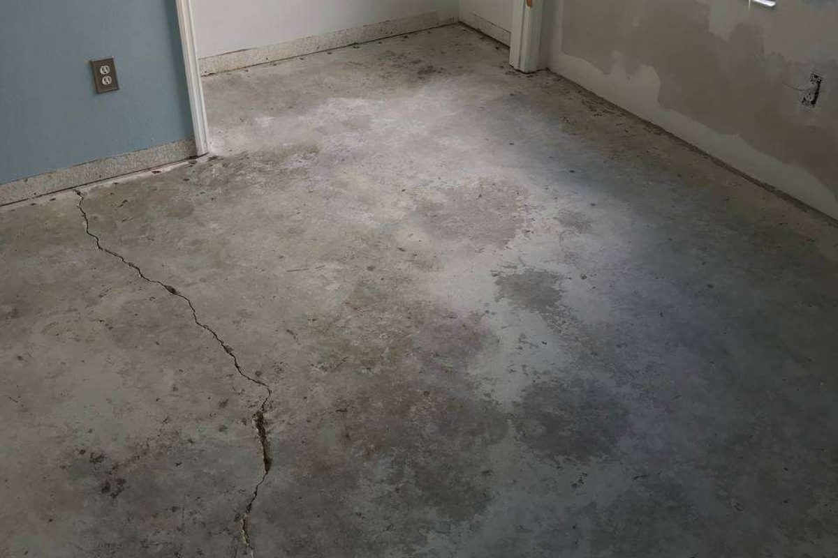 photo_2024-12-23_20-04-28