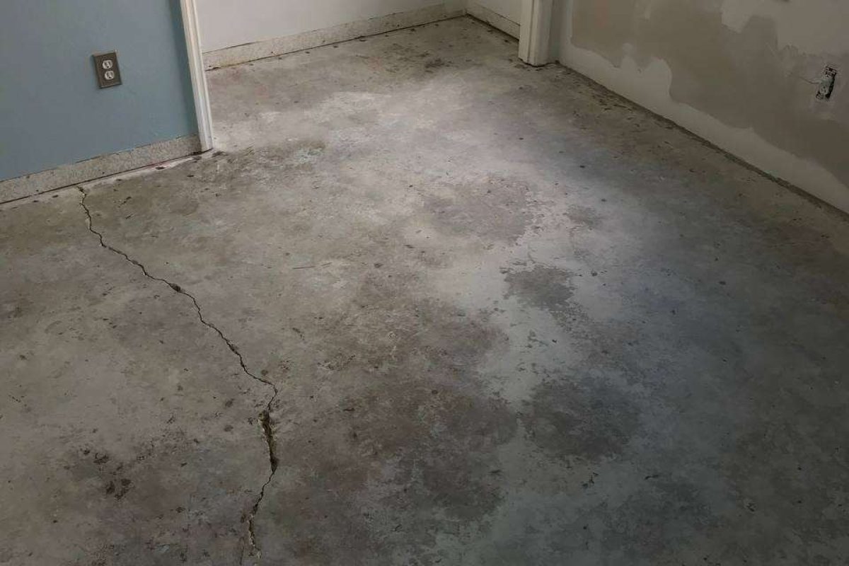 photo_2024-12-23_20-04-32