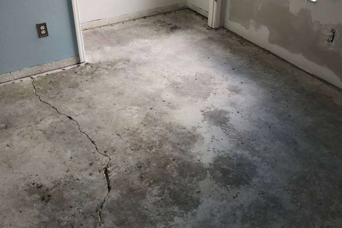 photo_2024-12-23_20-04-36