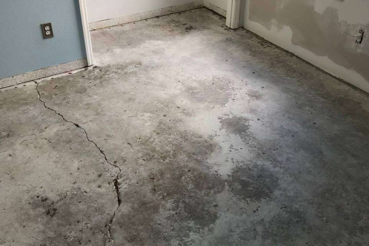 photo_2024-12-23_20-04-40