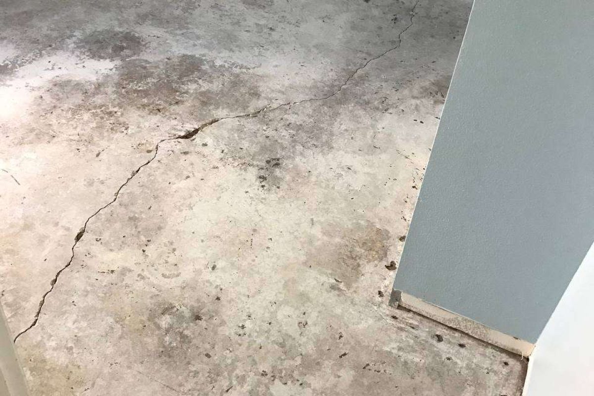 photo_2024-12-23_20-04-43