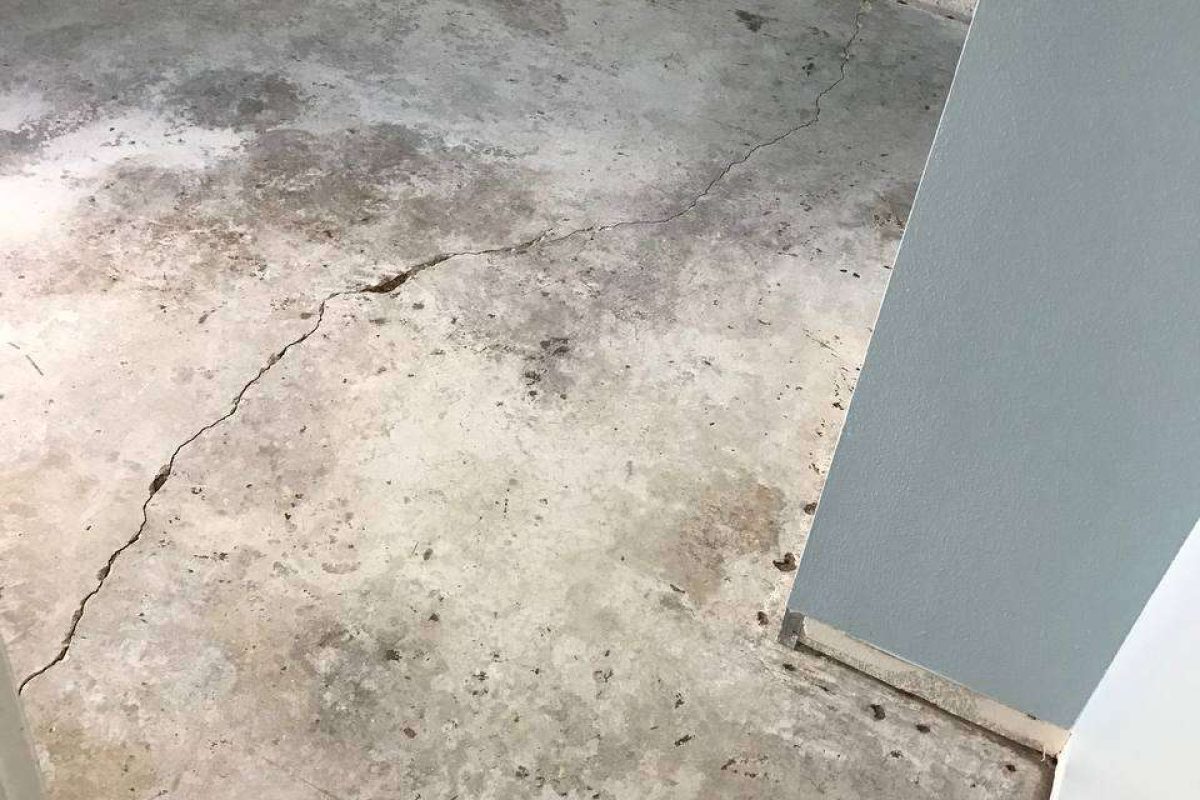 photo_2024-12-23_20-04-48