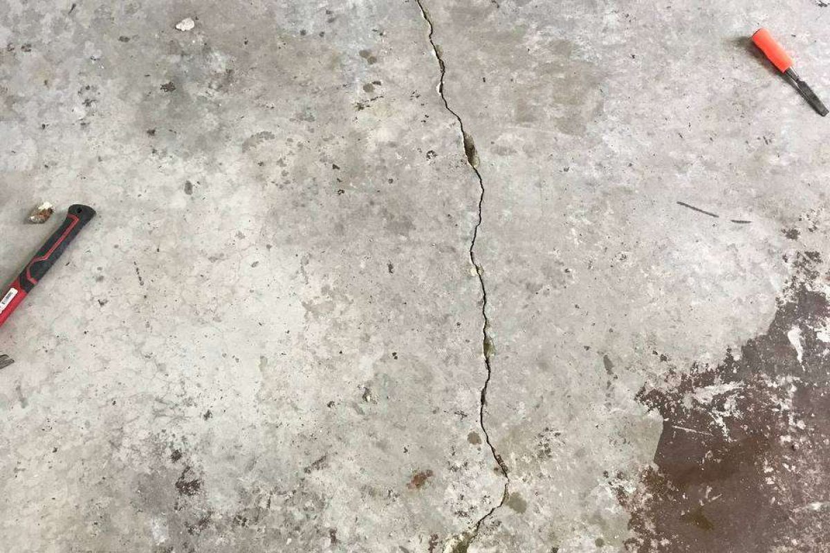 photo_2024-12-23_20-04-55