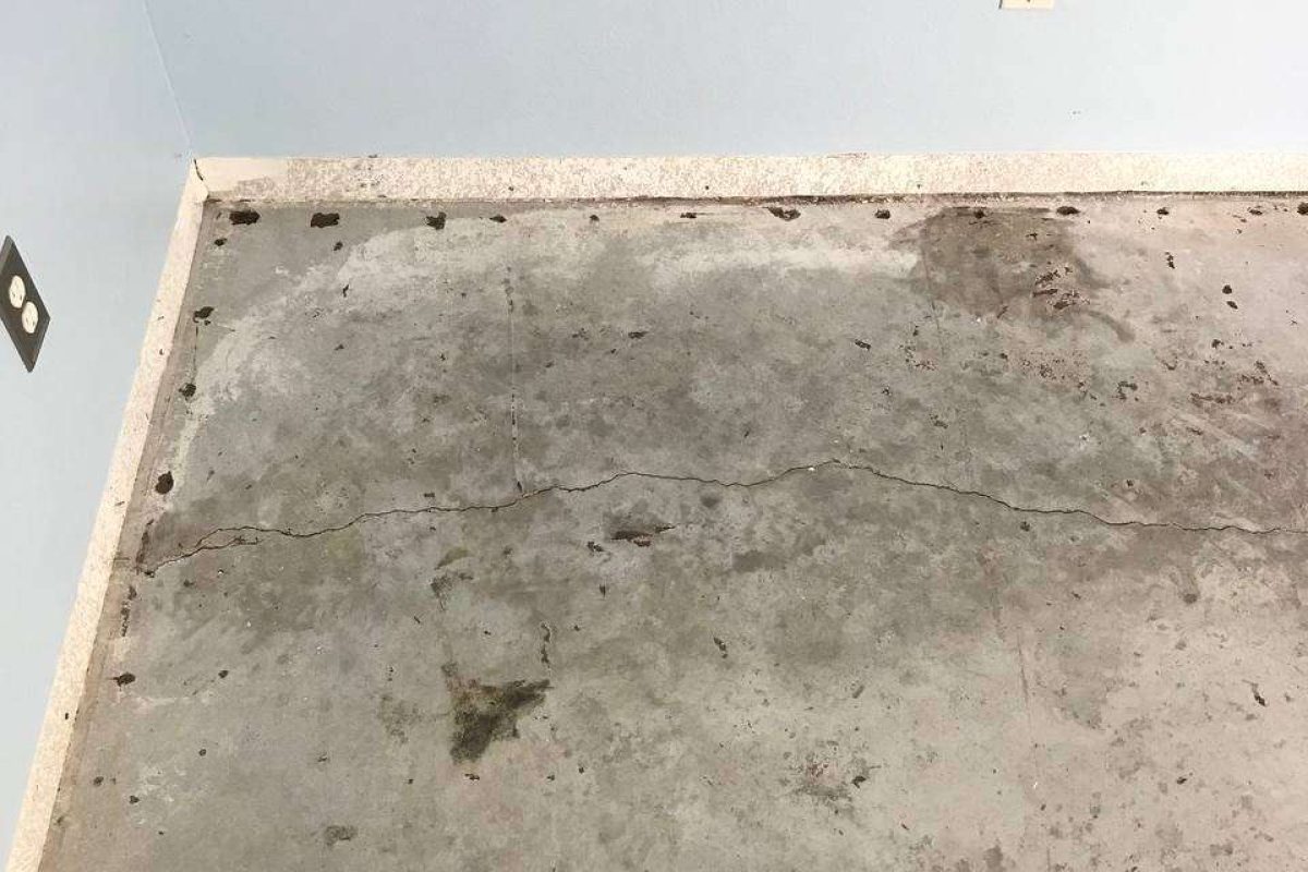 photo_2024-12-23_20-04-59