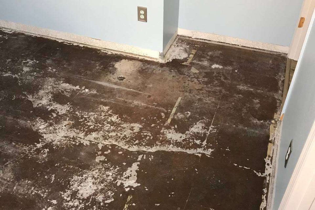 photo_2024-12-23_20-05-02