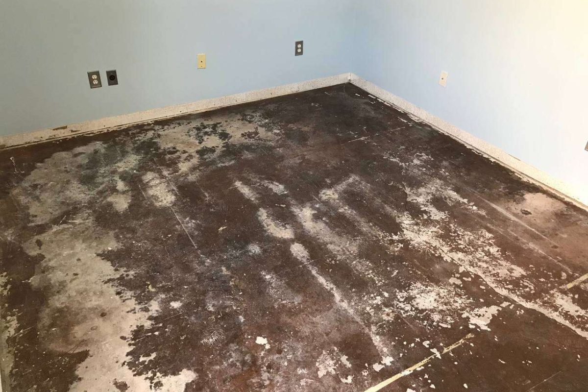 photo_2024-12-23_20-05-05