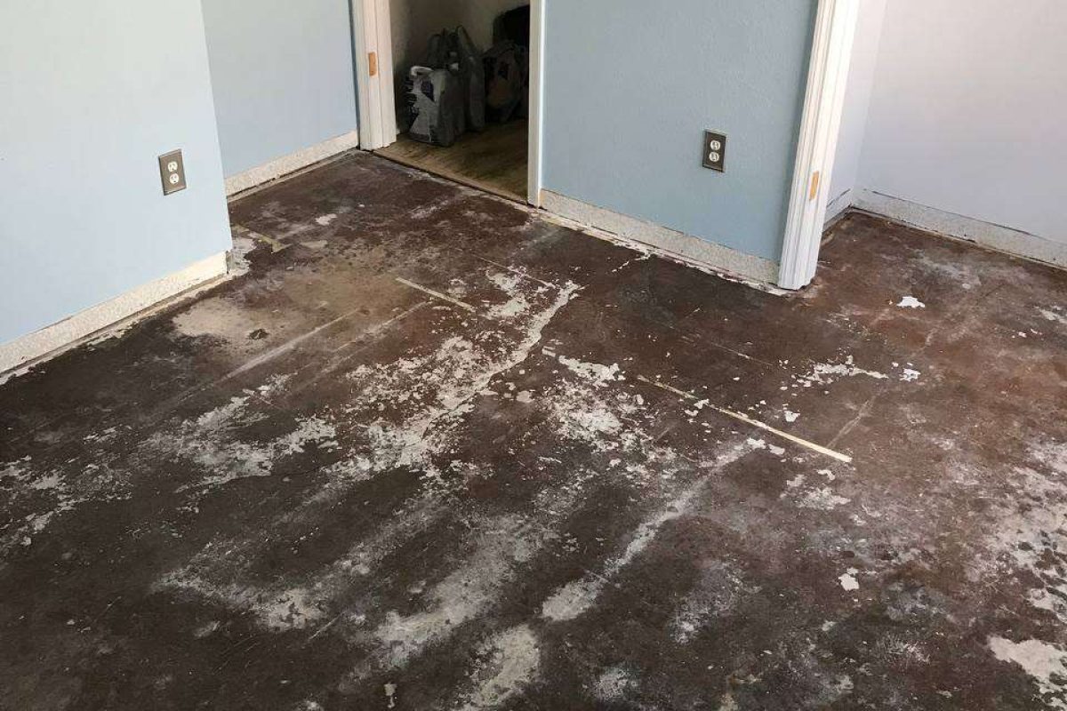 photo_2024-12-23_20-05-08