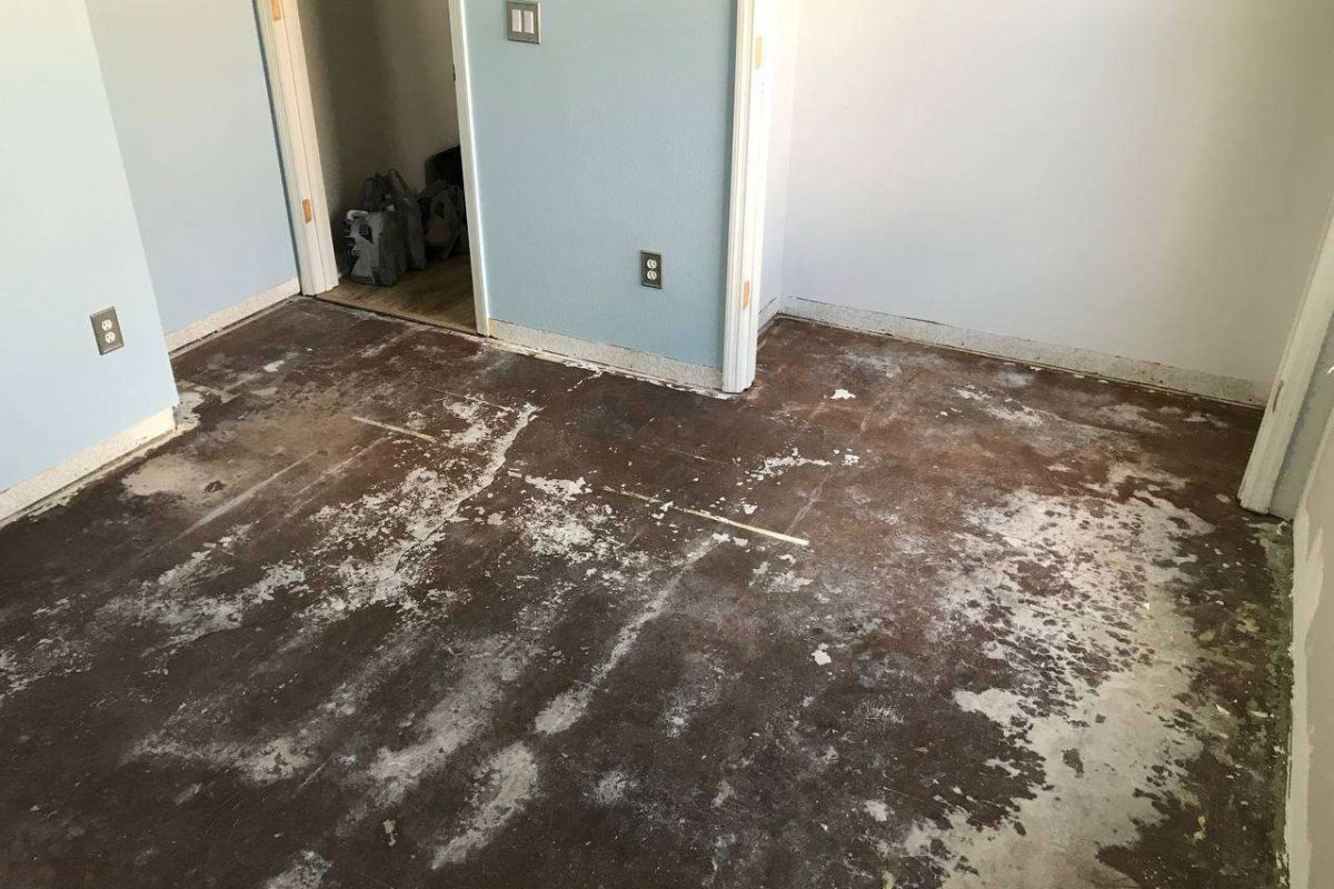 photo_2024-12-23_20-05-11