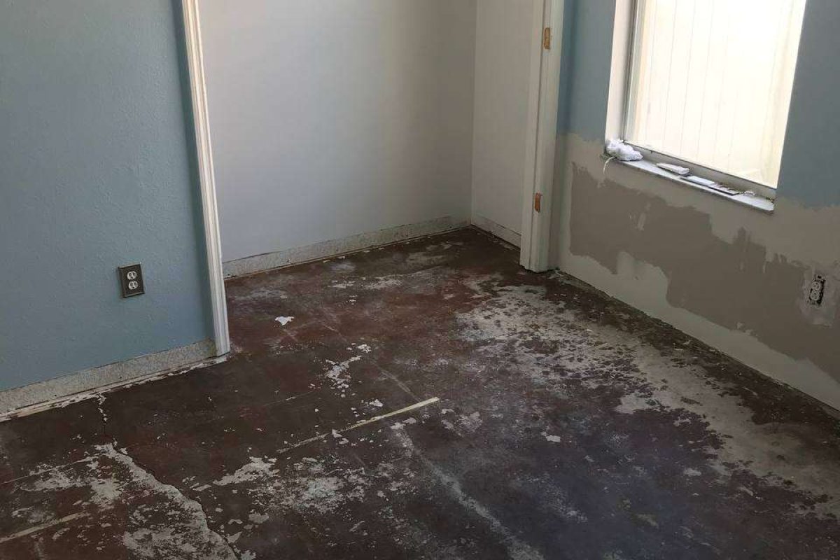 photo_2024-12-23_20-05-15