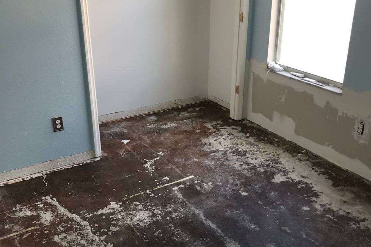 photo_2024-12-23_20-05-18