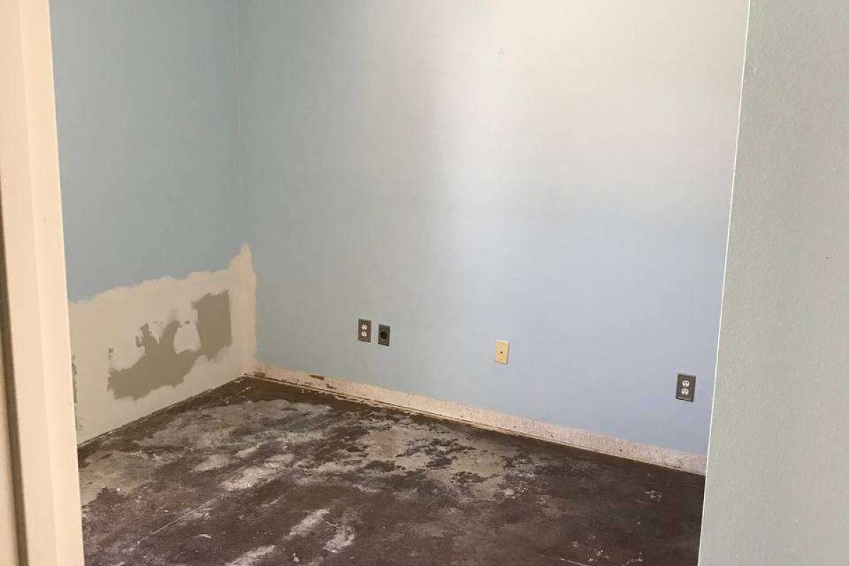 photo_2024-12-23_20-05-21