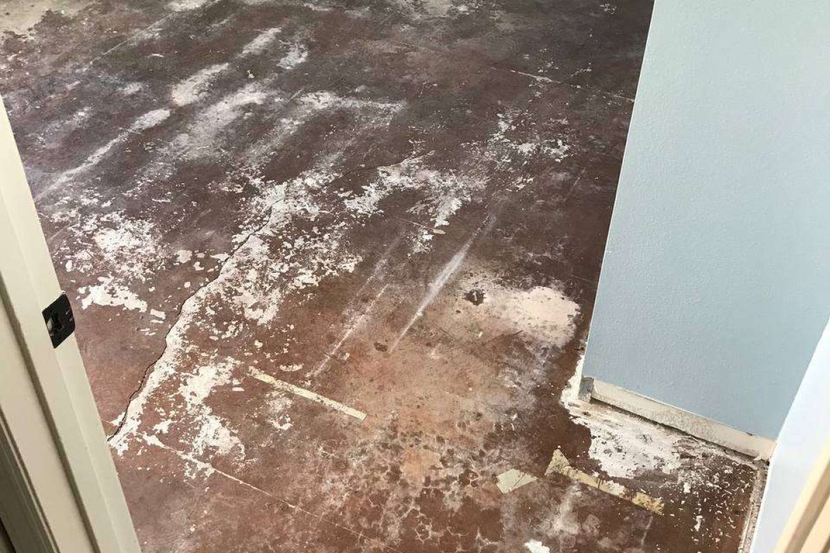 photo_2024-12-23_20-05-25