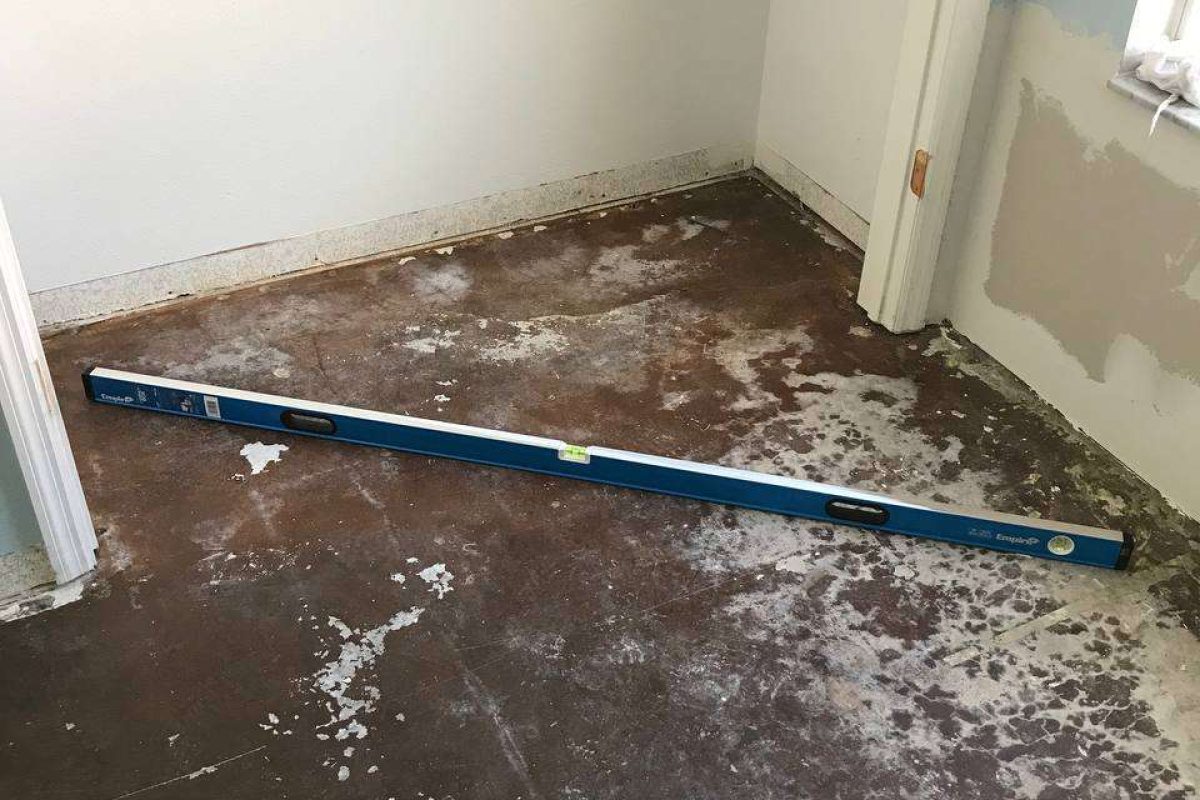 photo_2024-12-23_20-05-38