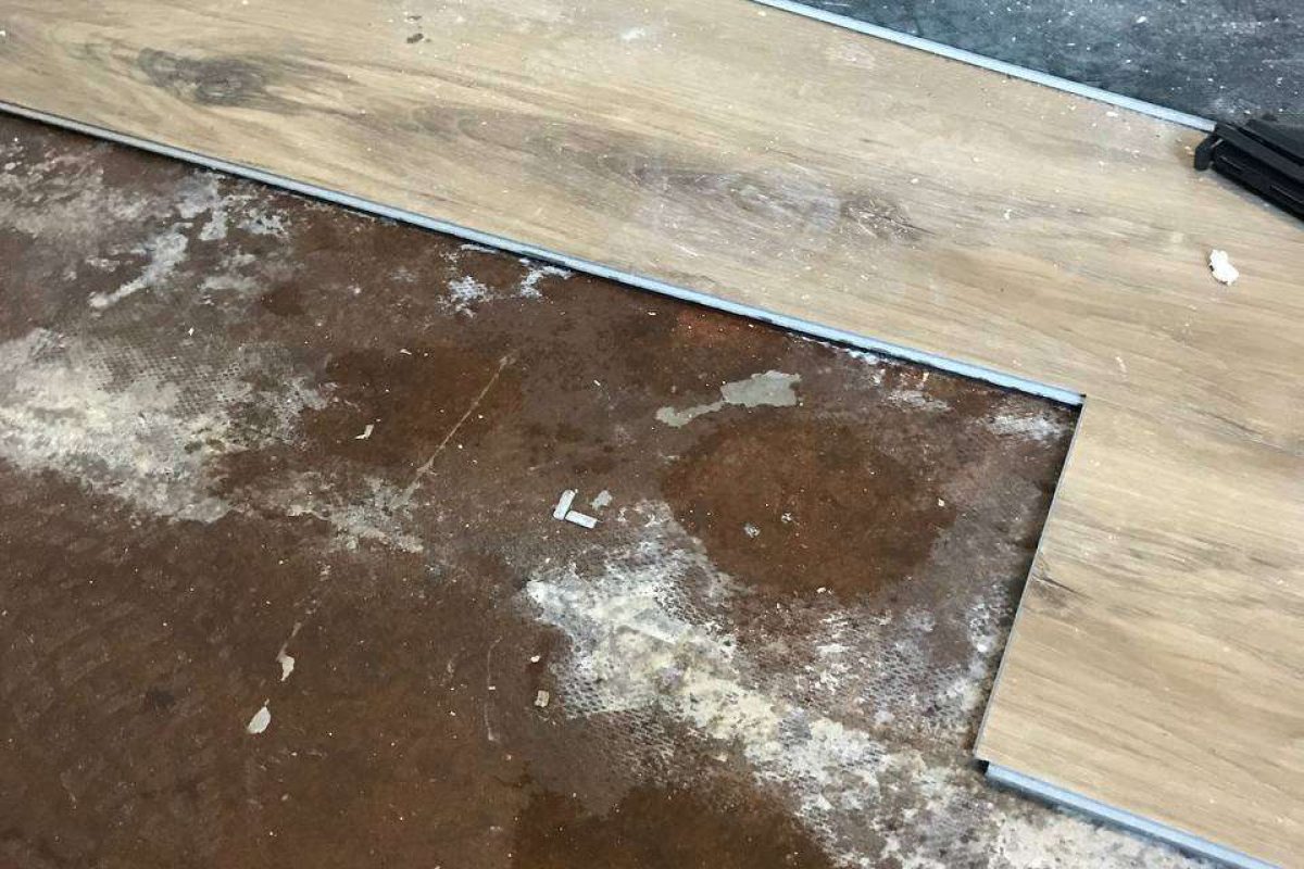 photo_2024-12-23_20-05-51