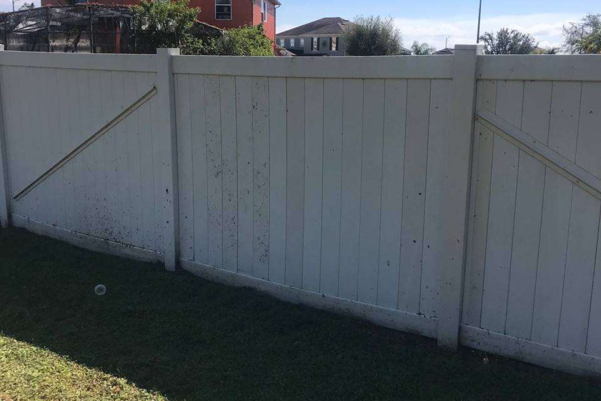 photo_2024-12-23_20-05-55