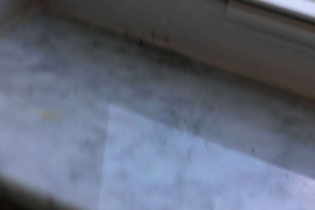 photo_2024-12-23_20-06-36