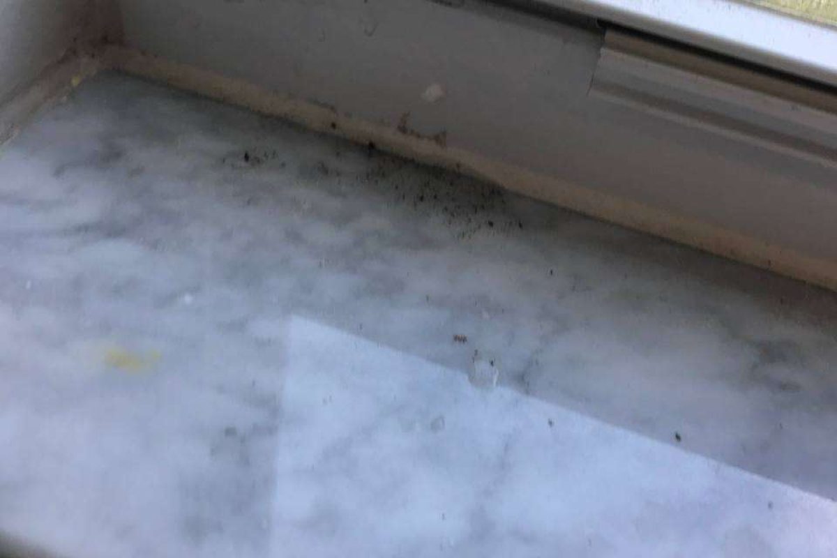 photo_2024-12-23_20-06-39