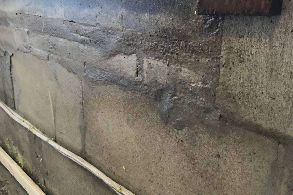 photo_2024-12-23_20-06-42